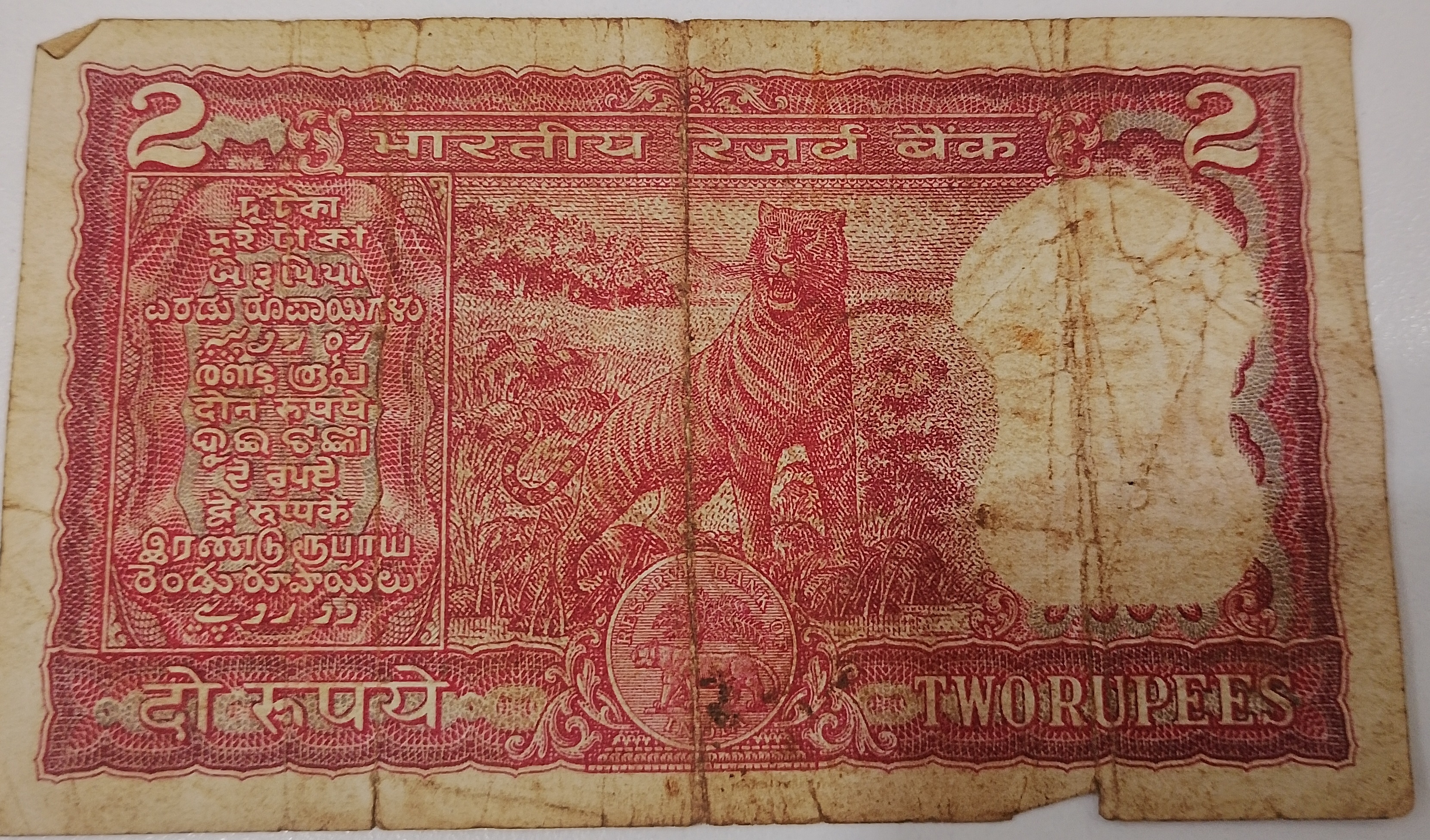Y16 372333 — Back