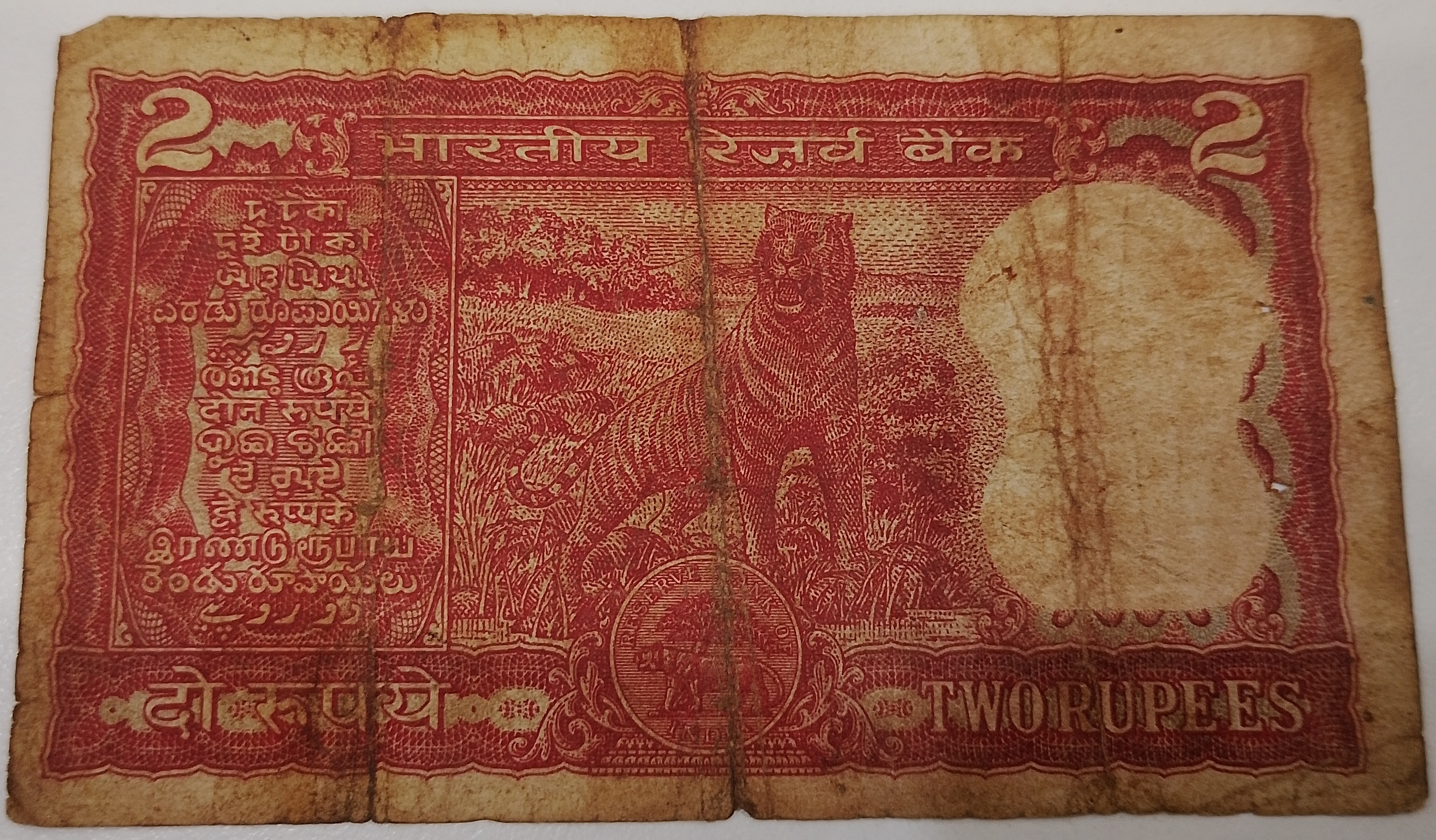 A25 659558 — Back