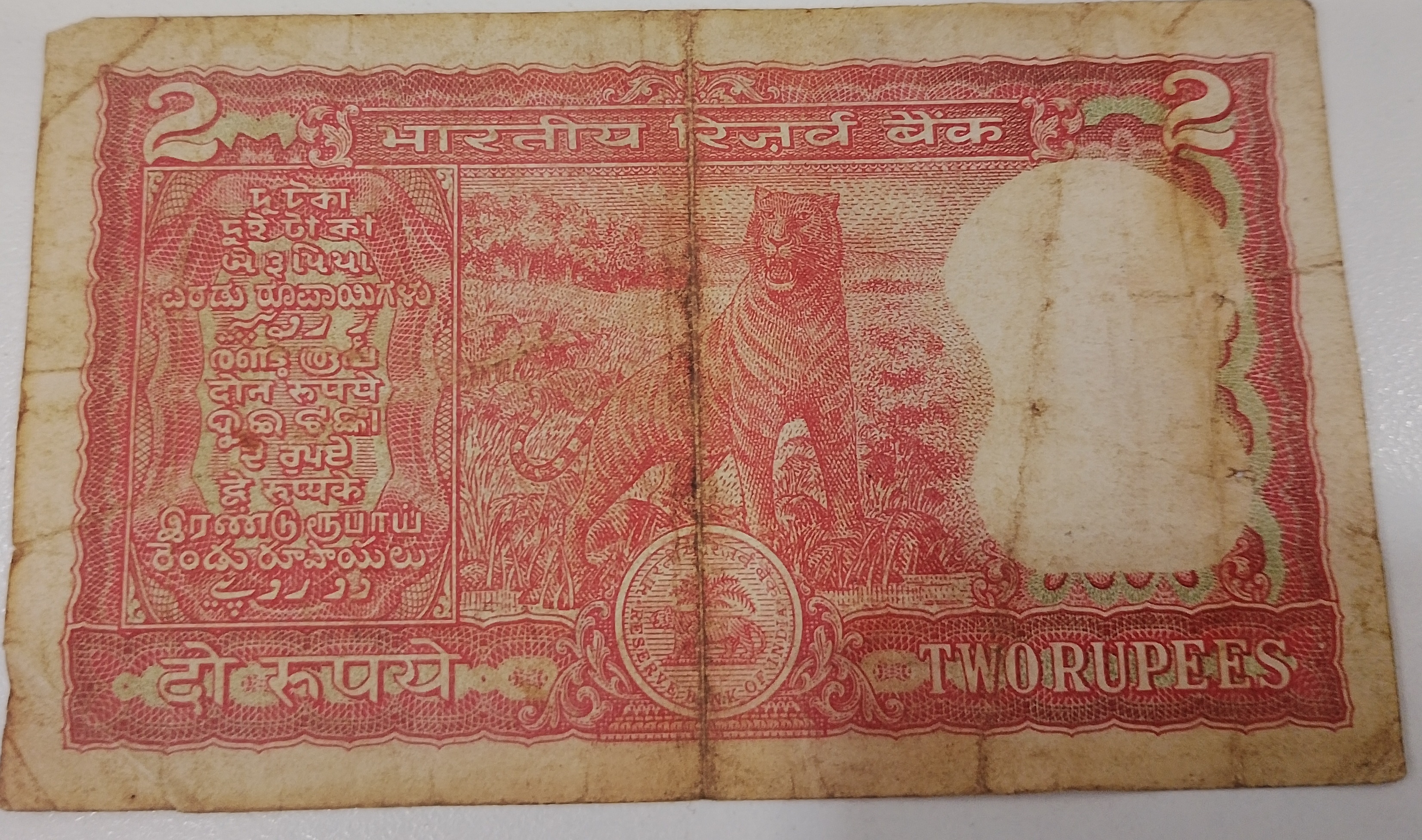 37P 800553 — Back
