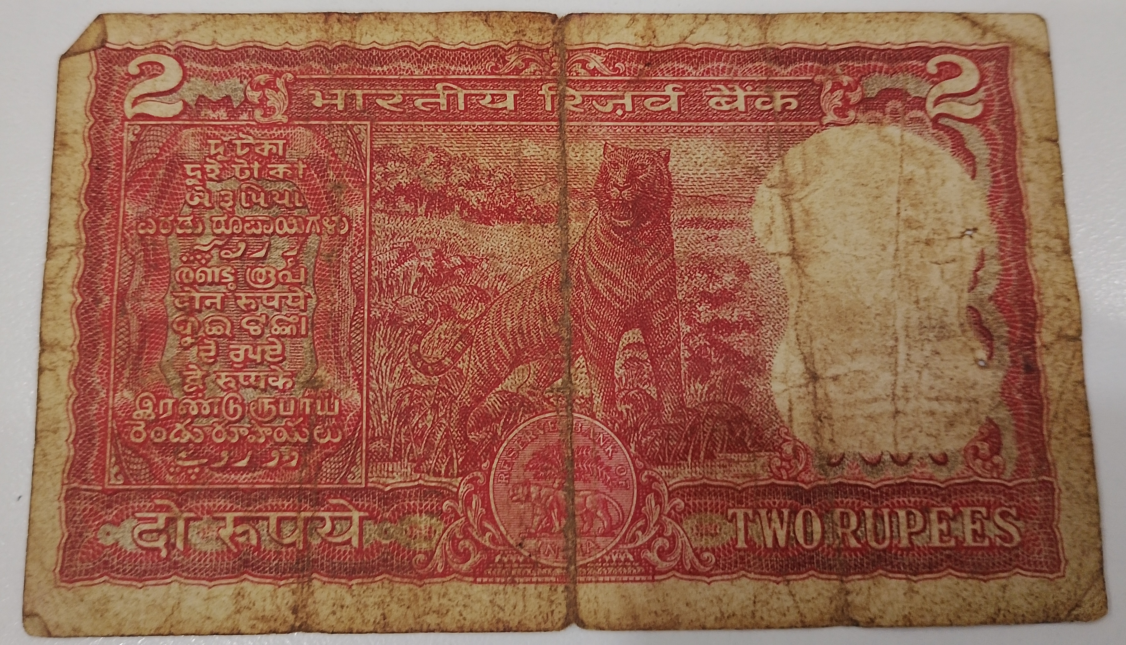 D49 247692 — Back